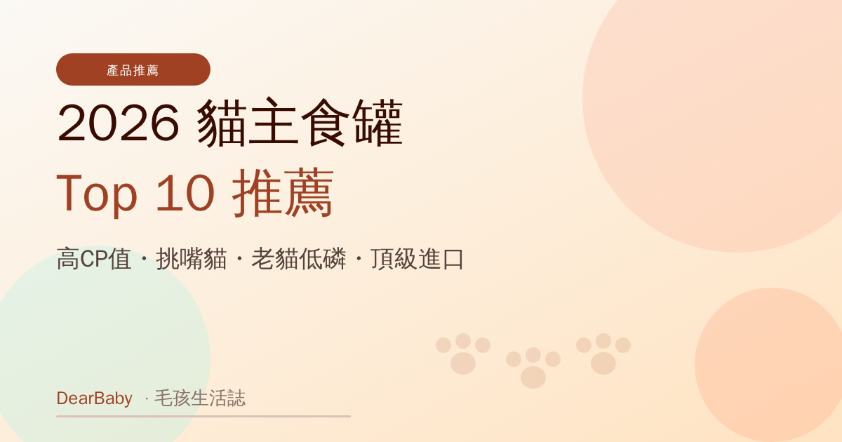 2026 貓主食罐推薦 Top 10：高 CP 值、挑嘴貓、老貓低磷、頂級進口一次看懂