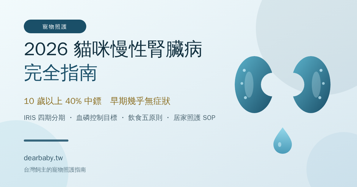 貓咪慢性腎臟病完全指南 2026：IRIS 四期分期、早期症狀、腎貓飲食五原則與居家照護 SOP