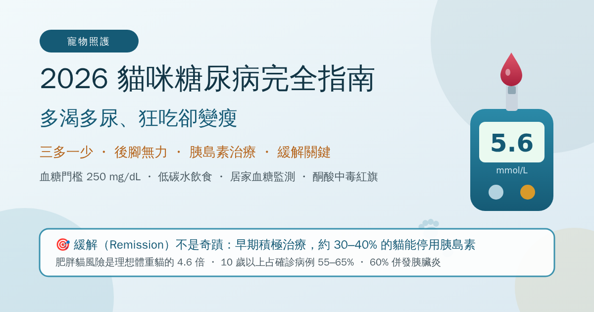 貓咪糖尿病完全指南 2026:多渴多尿、狂吃卻變瘦、後腳無力?獸醫解析診斷標準、胰島素治療、低碳水飲食與緩解(Remission)關鍵