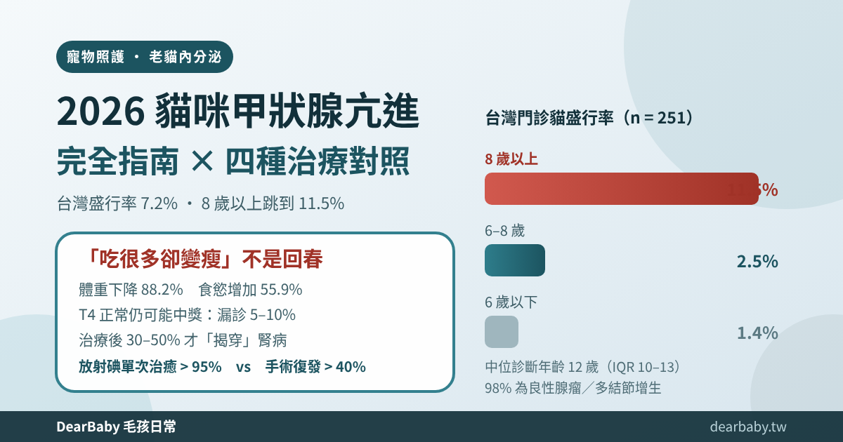 2026 貓咪甲狀腺亢進完全指南：老貓變瘦卻食量大、T4 正常也可能中獎、四種治療怎麼選（台灣盛行率 7.2% × 腎臟遮蔽 × 費用實算）