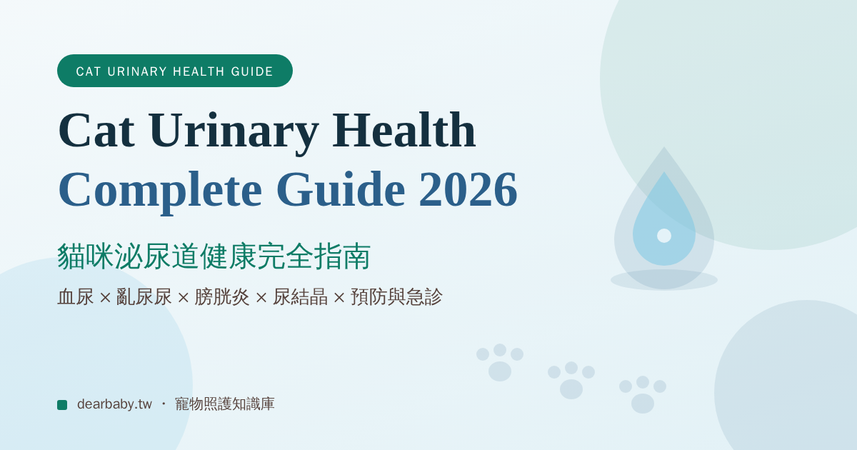 貓咪泌尿道健康完全指南 2026:血尿、亂尿尿、尿不出來怎麼辦?獸醫教你症狀判斷、補水預防與急診時機