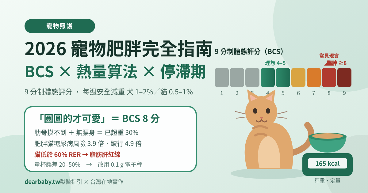2026 寵物肥胖完全指南：BCS 體態評分、理想體重與熱量算法、每週安全減重速率與停滯期破解（獸醫指引版）